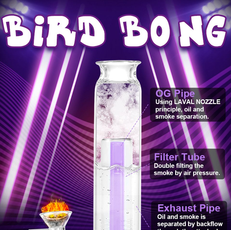 Bird Bong 6